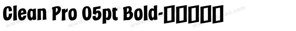 Clean Pro 05pt Bold字体转换